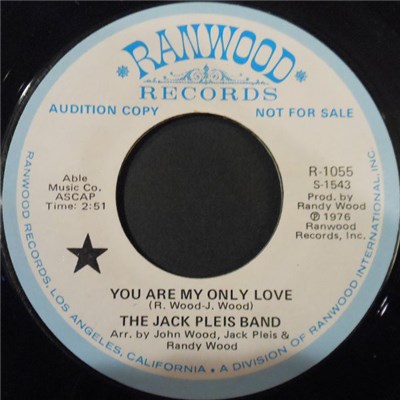 The Jack Pleis Band - You Are My Only Love download mp3 flac