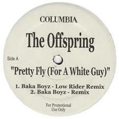 The Offspring - Pretty Fly (For A White Guy) download mp3 flac