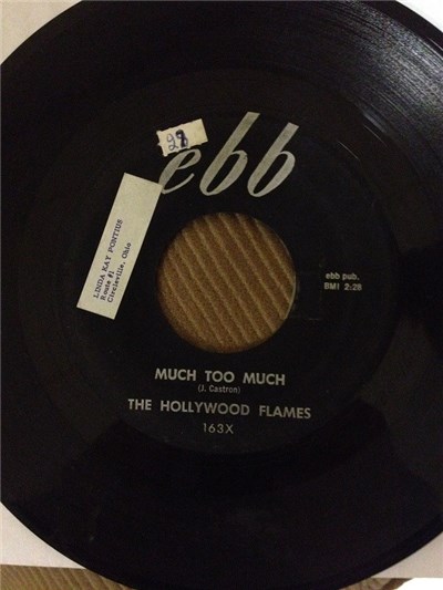 The Hollywood Flames - Much Too Much / In The Dark download mp3 flac