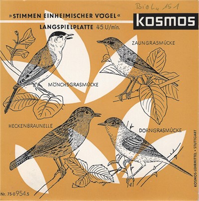 C. Fentzloff - Stimmen Einheimischer Vögel download mp3 flac