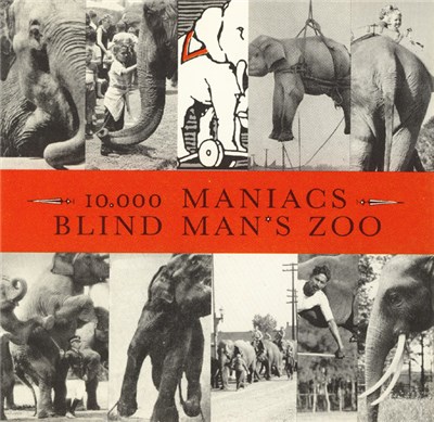 10,000 Maniacs - Blind Man's Zoo download mp3 flac