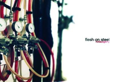 Flesh:On:Steel - Notausgang download mp3 flac