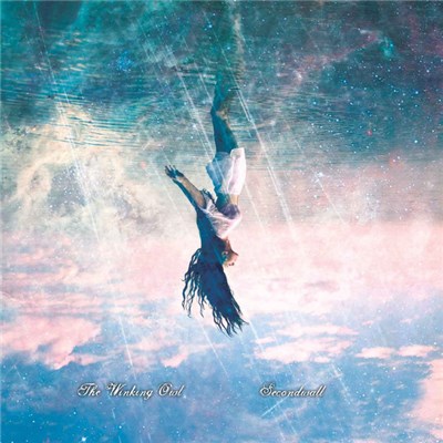 The Winking Owl, Secondwall - Split download mp3 flac