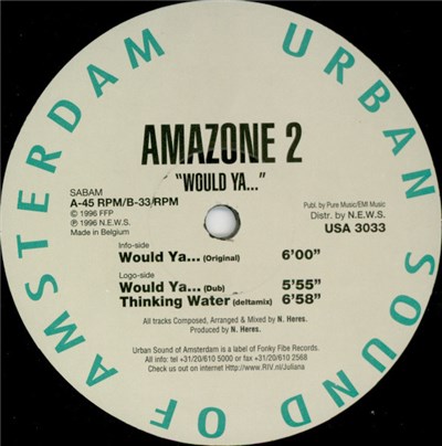 Amazone 2 - Would Ya... download mp3 flac