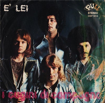 I Cugini Di Campagna - È Lei download mp3 flac