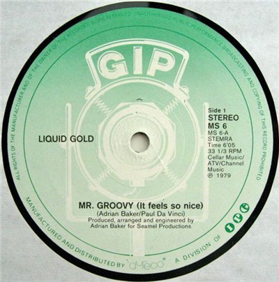 Liquid Gold - Mr. Groovy (It Feels So Nice) download mp3 flac