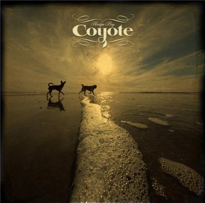 Coyote - Harlyn Bay download mp3 flac