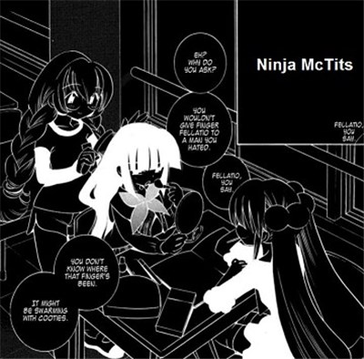 Ninja McTits - Fellatio, You Say download mp3 flac
