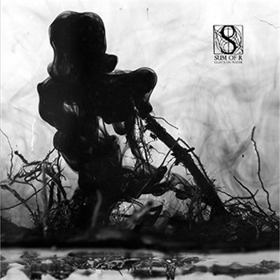 Sum Of R - Lights On Water download mp3 flac