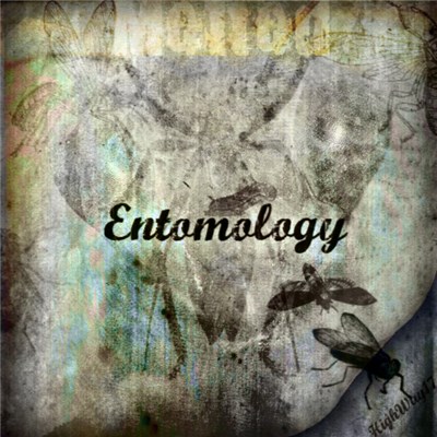 HighWay17 - Melted Entomology download mp3 flac