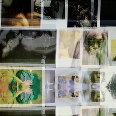 (the) Dead Sea Flowers - Cult Of Sargasso download mp3 flac