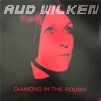 Aud Wilken - Diamond In The Rough download mp3 flac