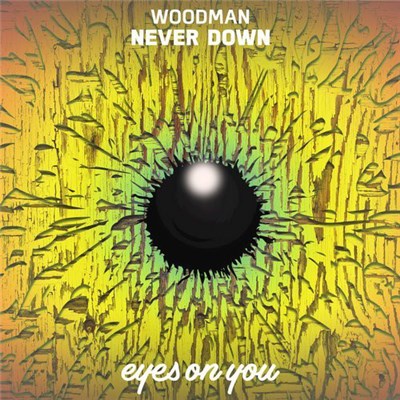 Woodman - Never Down download mp3 flac