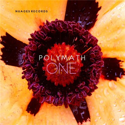 Mr. Moods - Polymath One download mp3 flac