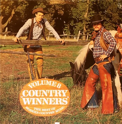Various - Country Winners Volume 8 download mp3 flac