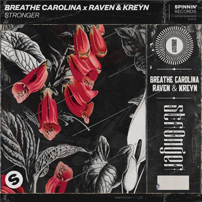 Breathe Carolina x Raven & Kreyn - Stronger download mp3 flac