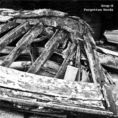 Drop-E - Forgotten Words download mp3 flac