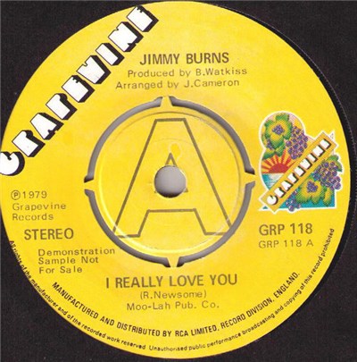 Jimmy Burns - I Really Love You download mp3 flac
