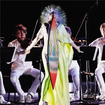 Björk - Vulnicura Strings download mp3 flac