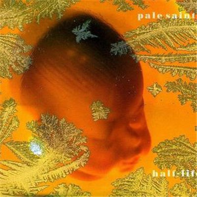 Pale Saints - Half-Life download mp3 flac