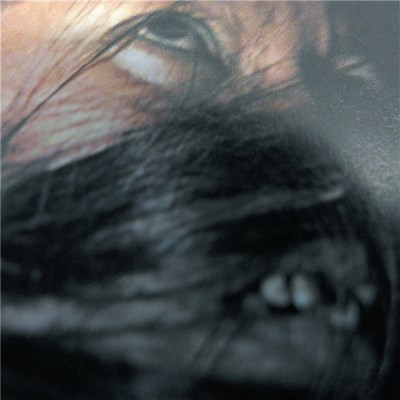 Xiu Xiu w/ Mantra Percussion - Extinction Meditation download mp3 flac