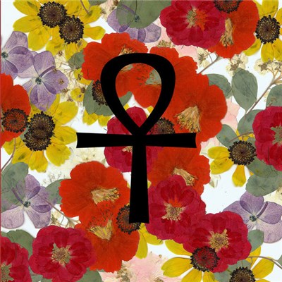 The Whip Angels / Pope Joan II - Spring 2015 download mp3 flac