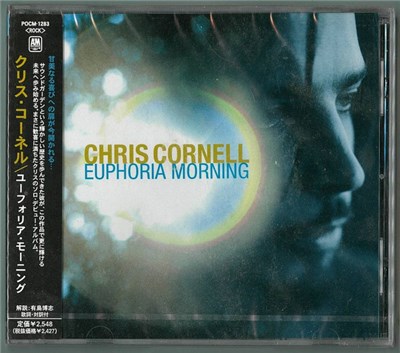 Chris Cornell - Euphoria Morning download mp3 flac