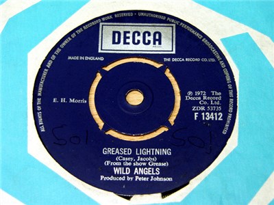 Wild Angels - Greased Lightning / Born To Hand Jive / Beauty School Dropout download mp3 flac