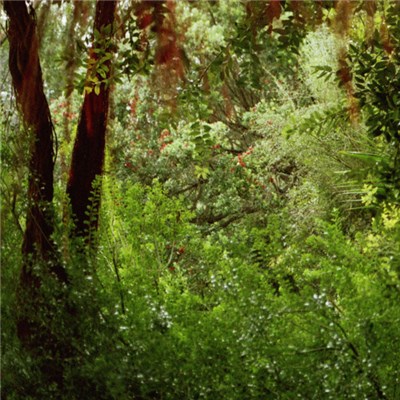 Skin Like Iron - Skin Like Iron download mp3 flac