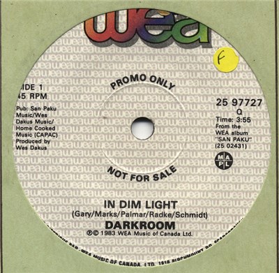 Darkroom - In Dim Light / Proven Guilty download mp3 flac
