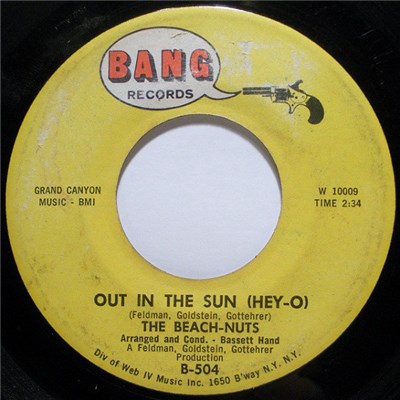 The Beach-Nuts - Out In The Sun (Hey-O) download mp3 flac