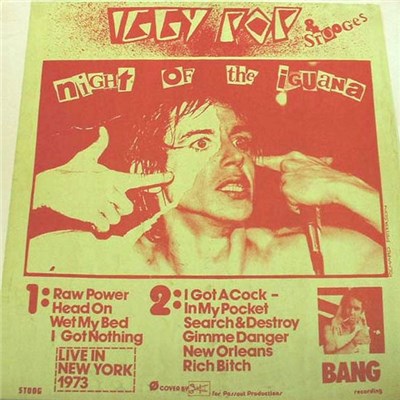 Iggy Pop & The Stooges - Night Of The Iguana download mp3 flac