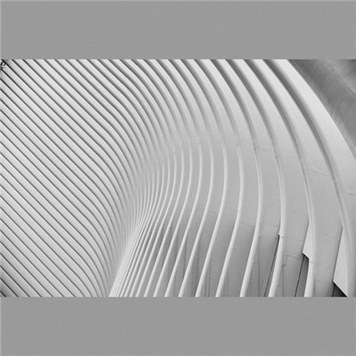 Confield , Humanfobia - [M] download mp3 flac