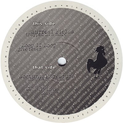 Various - Sounds Of The Big Stink Disc Seven download mp3 flac
