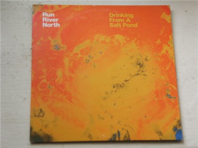 Run River North - Drinking From A Salt Pond download mp3 flac
