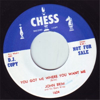 John Brim and His Gary Kings - I Would Hate To See You Go / You Got Me Where You Want Me download mp3 flac