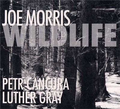 Joe Morris - Wildlife download mp3 flac