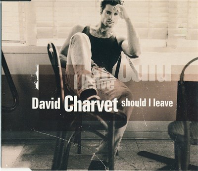 David Charvet - Should I Leave download mp3 flac