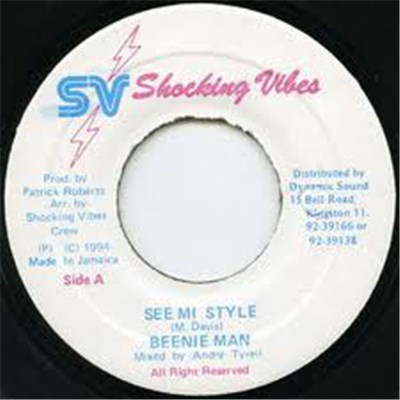 Beenie Man - See Mi Style download mp3 flac