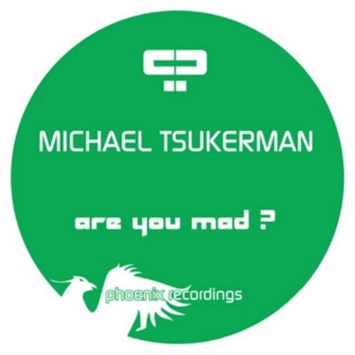 Michael Tsukerman - Are You Mad ? download mp3 flac