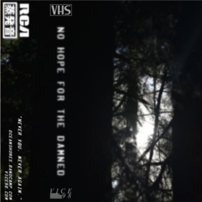 Ocean Shores - No Hope For The Damned download mp3 flac