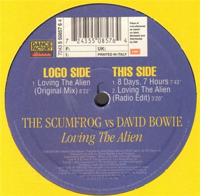 The Scumfrog Vs. David Bowie - Loving The Alien download mp3 flac