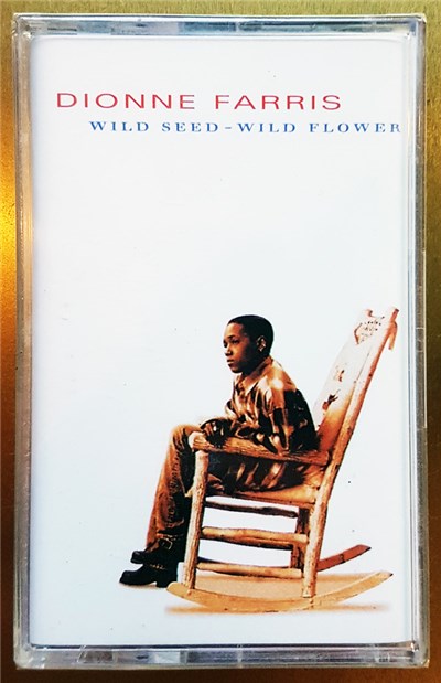 Dionne Farris - Wild Seed - Wild Flower download mp3 flac