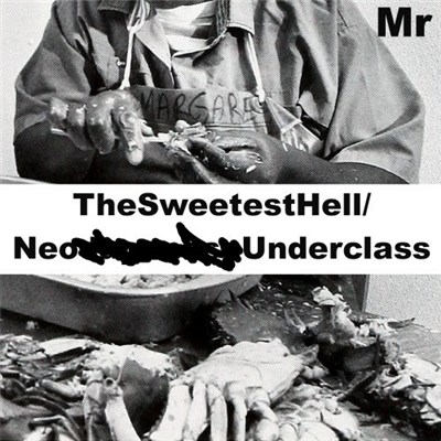 Mr - TheSweetestHell / Neo________Underclass download mp3 flac