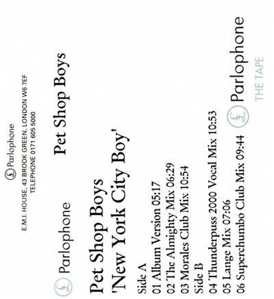 Pet Shop Boys - New York City Boy download mp3 flac