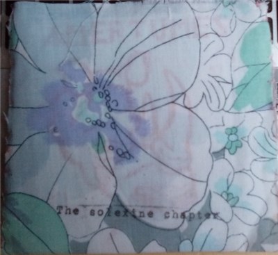 The Solexine Chapter - Amertumes (DIY version) download mp3 flac