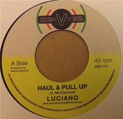 Luciano - Haul & pull Up download mp3 flac