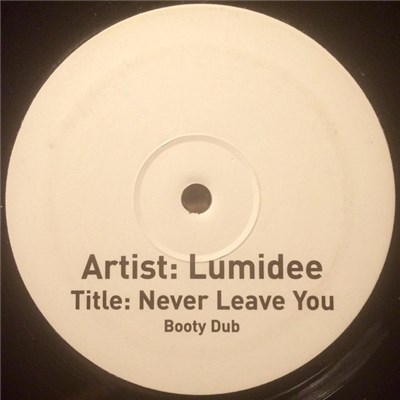 Lumidee - Never Leave You download mp3 flac