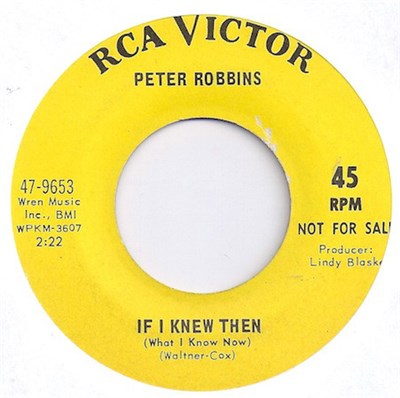 Peter Robbins - If I Knew Then (What I Know Now) / Little Brown Mouse download mp3 flac