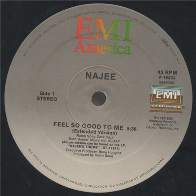 Najee - Feel So Good To Me download mp3 flac